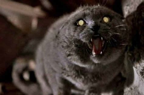 Cast Members Announced For Upcoming 'Pet Sematary' Prequel