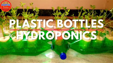 DIY Hydroponics: How to build a Hydroponics system with Plastic Bottles ...