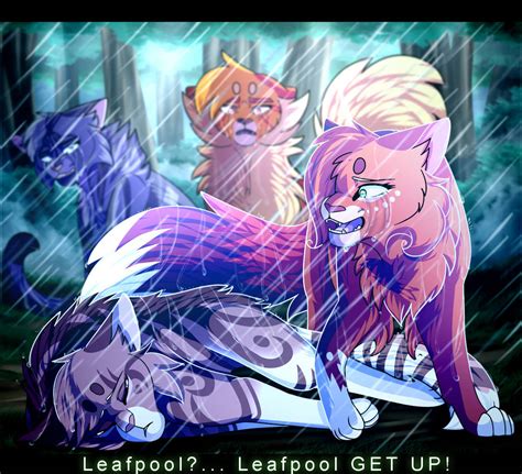 Leafpool's death by Islandescence on DeviantArt