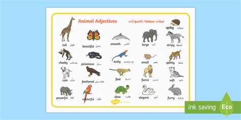 Animal Adjectives Word Mat Arabic/English