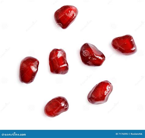 Pomegranate seeds stock image. Image of antioxidant, persephone - 7176595