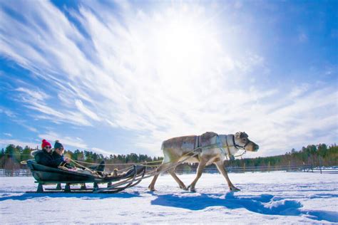 14 Coolest Things to Do in Levi, Lapland (Finland)