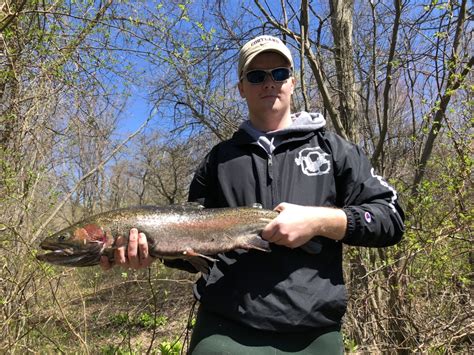 Steel in River - New York Fishing Reports - Lake Ontario (South Shore ...