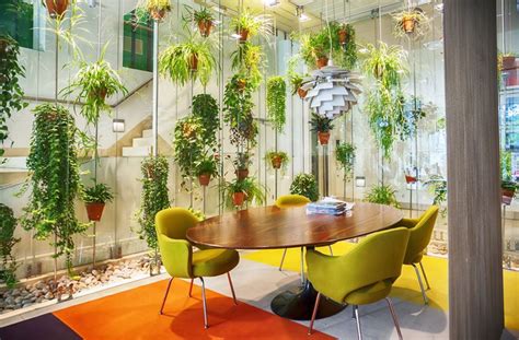 Where To Buy Office Plants: The Definitive Guide | Home Logic UK ...