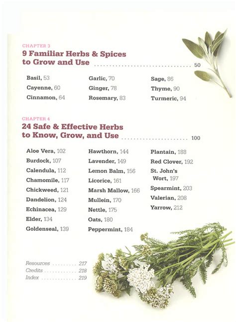 Rosemary Gladstar's Medicinal Herbs: Beginner's Guide | Storey Books | 9781612120058