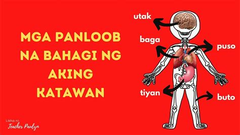 Mga Bahagi Ng Katawan Printable