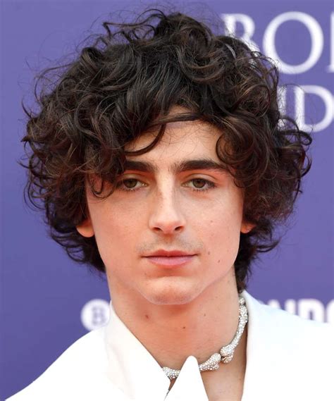 There are more options here timothee chalamet hair - zamungkor.org.pk