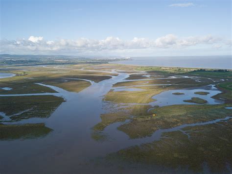 Steart Marshes | WWT