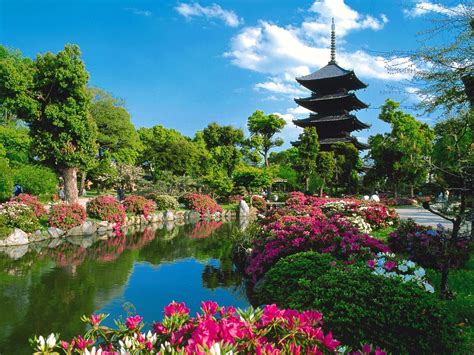 3840x2160 resolution | pink flowers, pond, trees, pagoda, Toji Temple ...