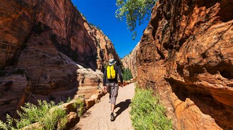 The 8 Best Hikes in Zion National Park | Intrepid Travel Blog - The Journal