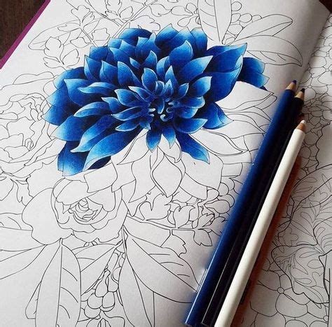 Drawing Flowers Pencil Watercolor Tutorials 35+ New Ideas | Flower drawing, Color pencil art ...