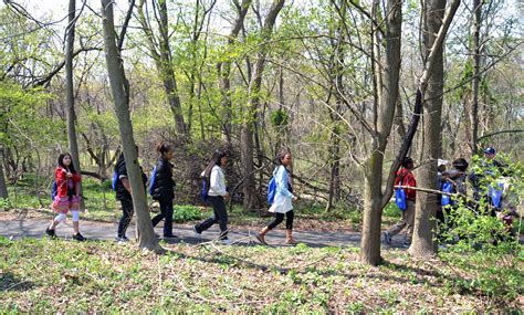 File:Children walking forest.jpg - Wikimedia Commons