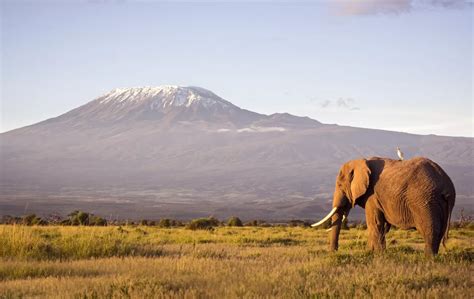 14 Best Tanzania Safaris & Tours for 2024-2025