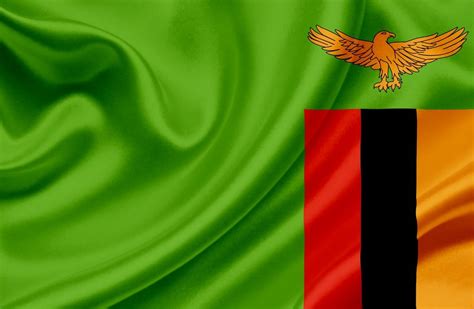 Waiving Zambia Flag | Zambian flag, Zambia flag, Zambia