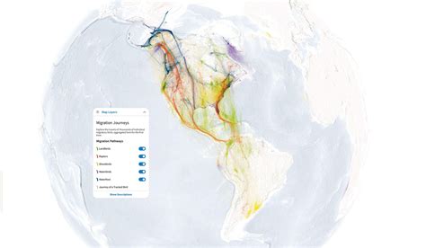 The Bird Migration Explorer Lets You Interact With Nature’s Most ...