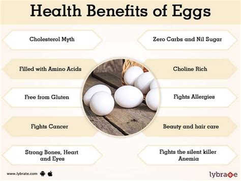 Egg White Nutrition Facts And Benefits - Nutrition Ftempo