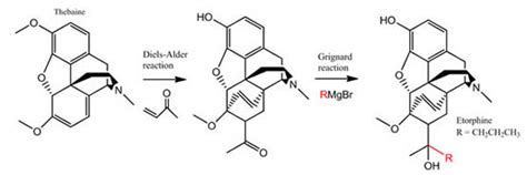 Drug Design: Structure — Activity Relationships