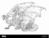 Dragon Outline Drawing Coloring Home sketch template