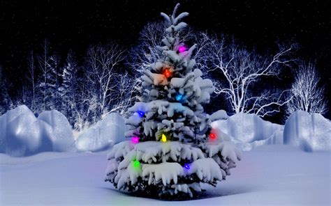 🔥 [40+] Christmas Tree Snow Wallpapers | WallpaperSafari