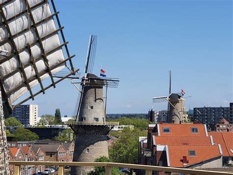 Schiedam Windmills - All You Need to Know BEFORE You Go (2025)