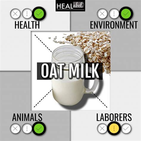 Oat Milk Benefits, Side Effects: Low Fodmap, Gluten Free, Vegan?