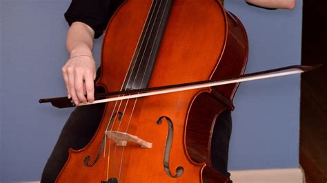 Double Bass Lessons - Allegro Pearland Academy of Music