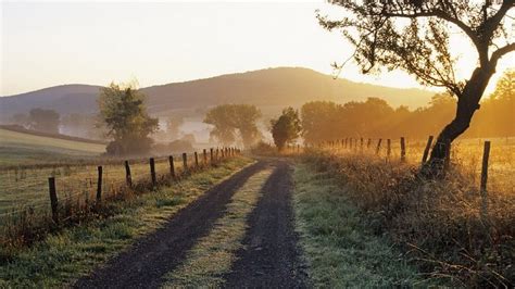 Scenery Pics Wallpaper: Spring and summer scenery | Country roads, Scenery, Country