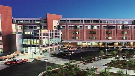 The Center for Health Ethics, Arts, & Humanities | University of Utah ...