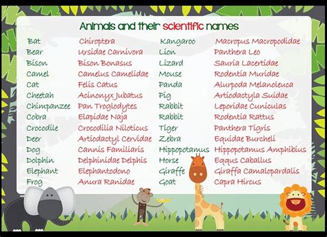 Write any 10 scientific name of animals ? - Brainly.in