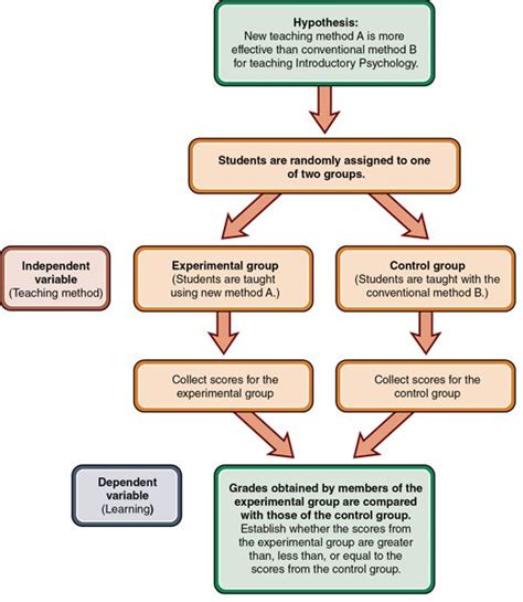 ️Experimental Design Diagram Worksheet Free Download| Goodimg.co