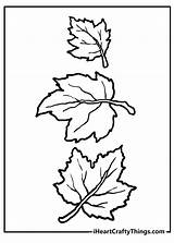 Fall Leaves Coloring Pages 100% Free Printables sketch template
