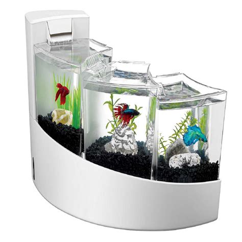 Betta Fish Tanks At Petco - Benia Aquarium Fish