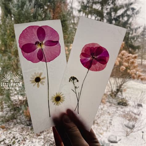 Pressed and Dried Flower Bookmarks • Little Pine Learners