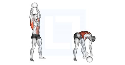 Medicine Ball Overhead Slam - Guide, Benefits, and Form