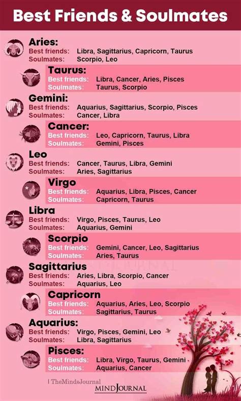 Discover Zodiac Signs and Their Perfect Companions