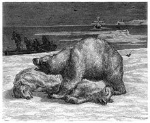 Vintage Polar Bear Clipart Free Stock Photo - Public Domain Pictures