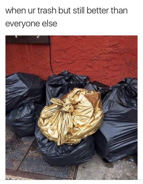 19 Memes for People Who Are Literal Trash | Pleated Jeans