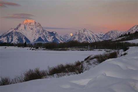 Yellowstone Winter Wonderland Safari with Wildlife Expeditions of Teton Science School Uses Luxe ...