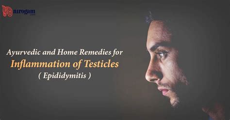 Ayurvedic and Home Remedies for Inflammation of Testicles ( Epididymitis )