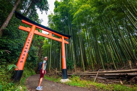 Hiking Kyoto Trail: Fushimi Inari Shrine to Tofukuji Temple - Travel Caffeine