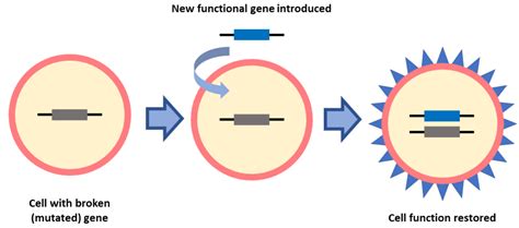 Gene Therapy & Clinical Trials to Treat Vision Loss | Fighting ...