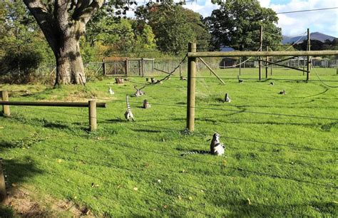 The Lake District Wildlife Park | Bassenthwaite, Keswick