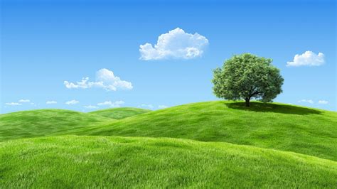 Grass Hill Wallpapers - Top Free Grass Hill Backgrounds - WallpaperAccess