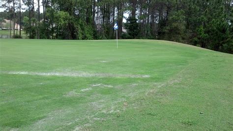 GOLF CLUB AT SOUTH HAMPTON (2024) All You Need to Know BEFORE You Go (with Photos)