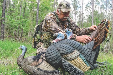 Tips for Basic Turkey Decoy Setups - Game & Fish