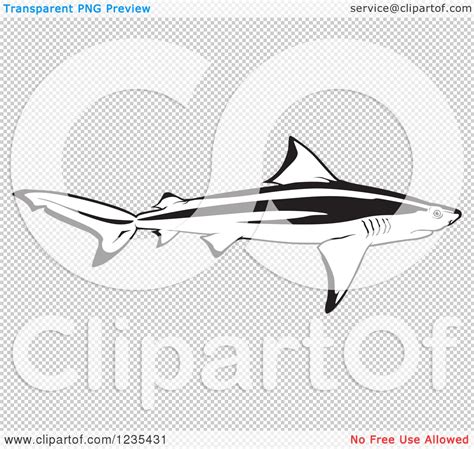 Download Bull Shark clipart for free - Designlooter 2020 👨‍🎨