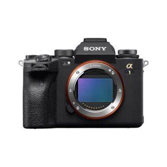 Sony a1 mirrorless camera set-up — Nick Dale Photography