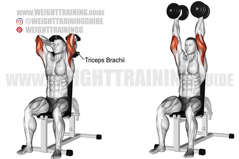 Seated two-arm overhead dumbbell triceps extension exercise instructions