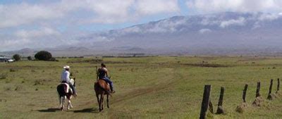 Parker Ranch | Big Island | Hawaii