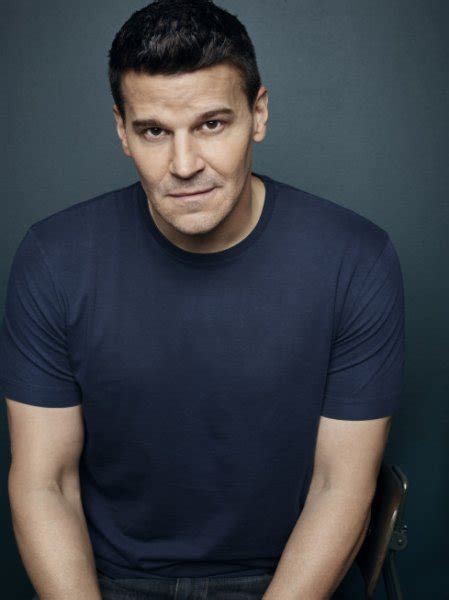 Seeley Booth - Bones Wiki